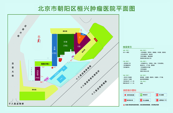 逼特逼骚北京市朝阳区桓兴肿瘤医院平面图